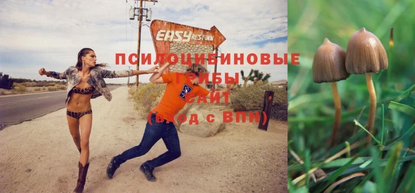 спайс Абаза
