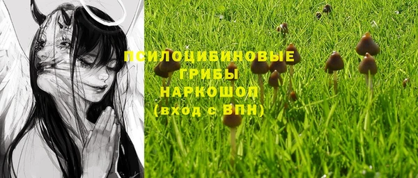 соль курить ск Алзамай