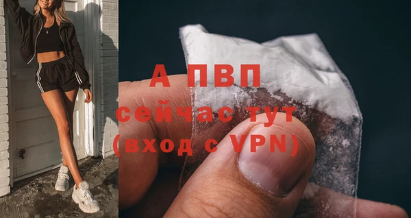 крисы Абдулино