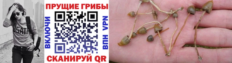 mega ТОР  сайты даркнета формула  Галлюциногенные грибы мухоморы  Воронеж 