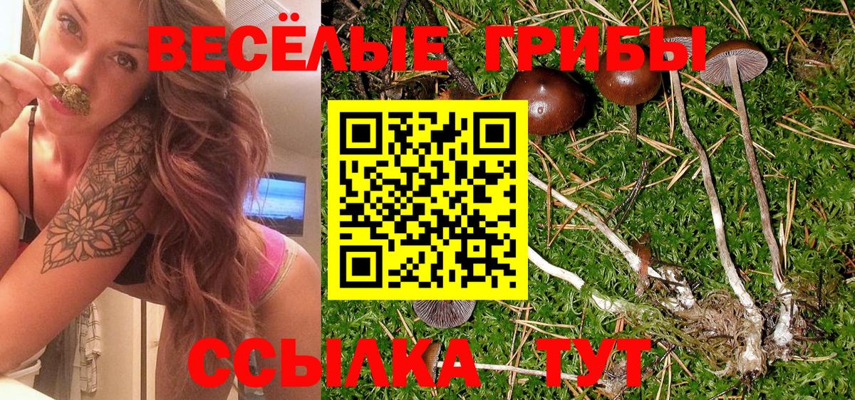 Псилоцибиновые грибы Magic Shrooms Воронеж